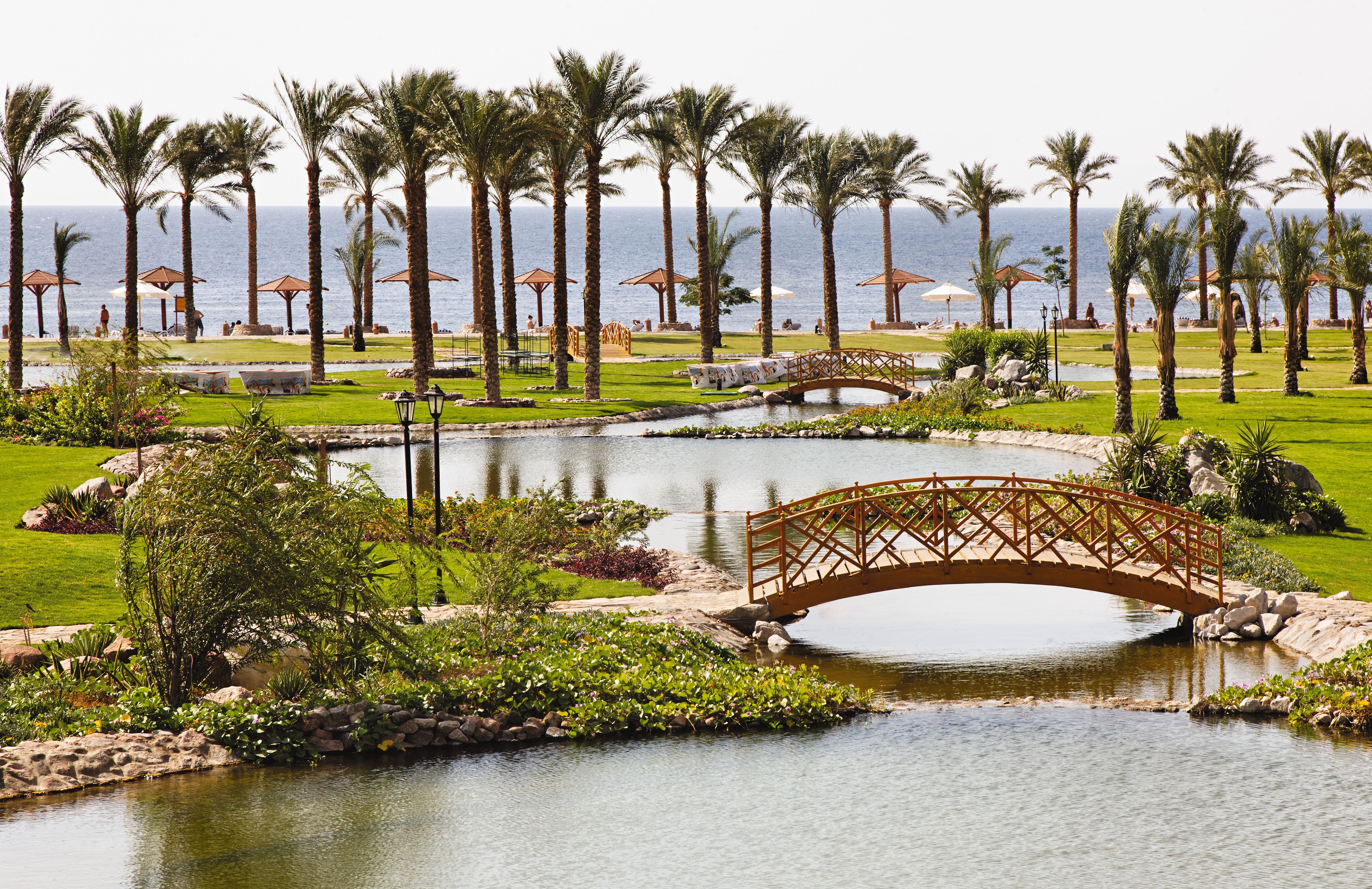 Movenpick Taba Resort & Spa Dış mekan fotoğraf The photo depicts a serene landscape featuring a body of water, surrounded by lush greenery and palm trees. In the foreground, there is a wooden bridge arching over the water, adding a picturesque element to the scene. Behind the bridge, there are pa