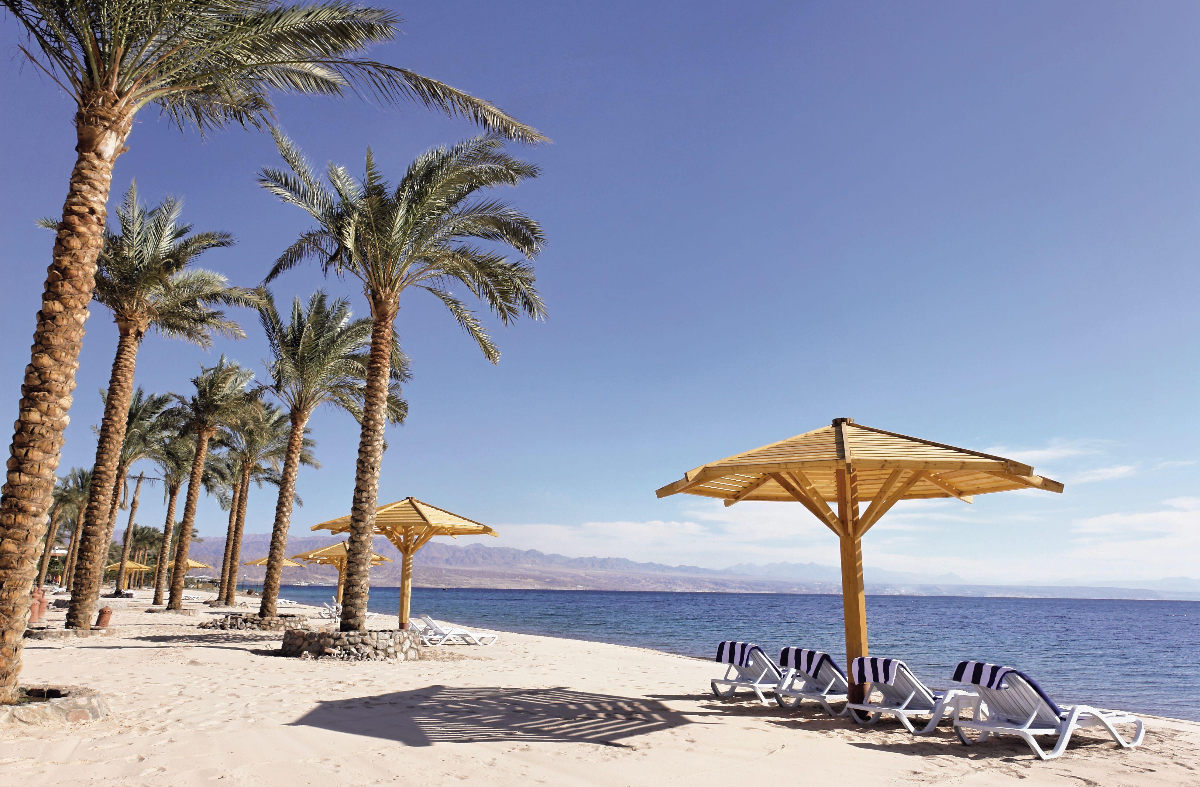 Movenpick Taba Resort & Spa Dış mekan fotoğraf The photo depicts a serene beach setting with a clear blue sky. A line of palm trees is seen along the shoreline, providing shade and a tropical ambiance. There are several lounge chairs arranged under a large wooden umbrella, suggesting a perfect sp